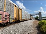 TTGX 709604
